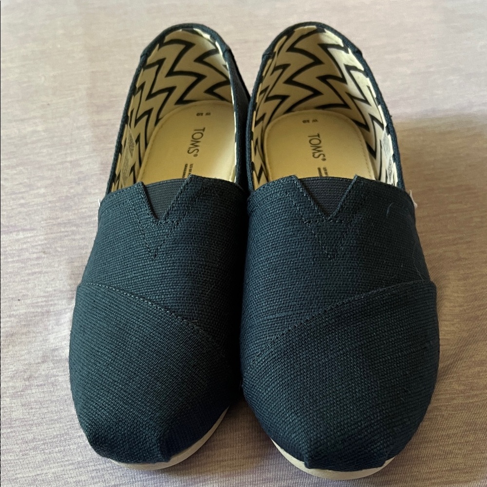 TOMS Majolica Blue Canvas Alpargata
